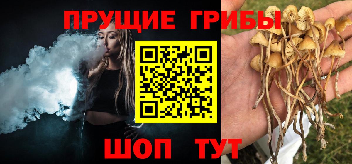 Галлюциногенные грибы GOLDEN TEACHER  Вход с VPN  Снежинск 