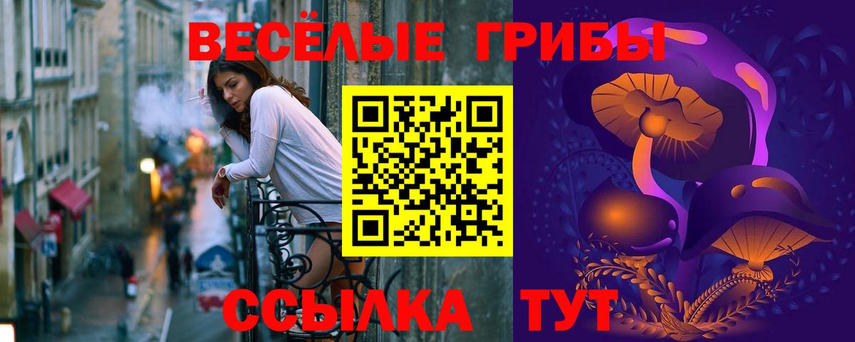 Галлюциногенные грибы GOLDEN TEACHER Снежинск